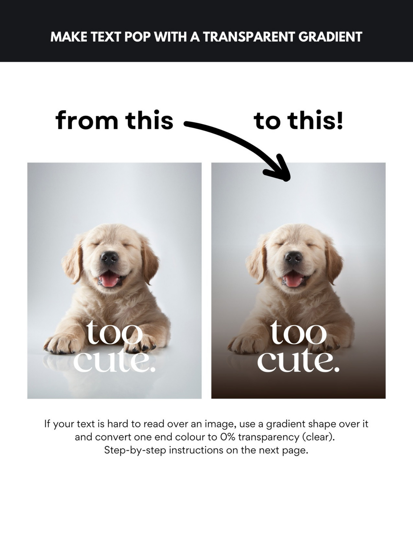 The Complete Canva Guide|E-Book (MRR)