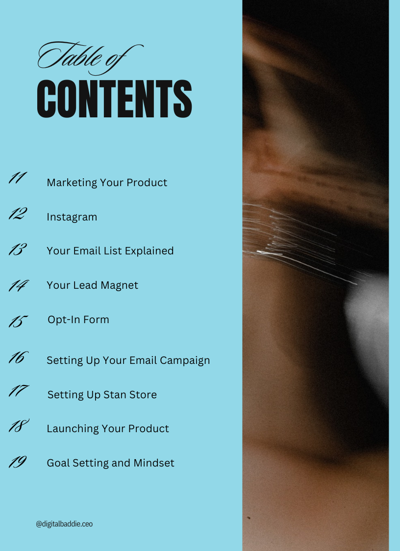 Digital Diva: A Beginner's Guide to Create and Sell Digital Products | E-Book (MRR)
